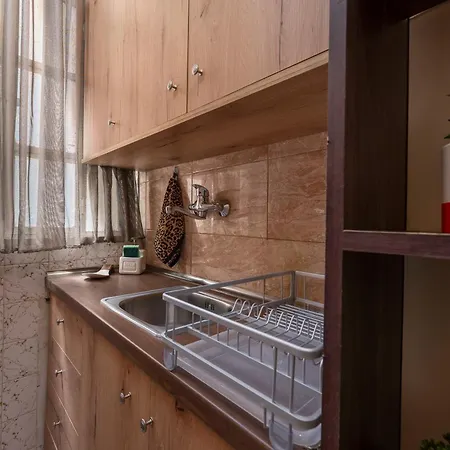 Hippocampus 테살로니키